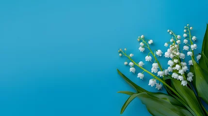  Lily of the Valley color background © Orkidia
