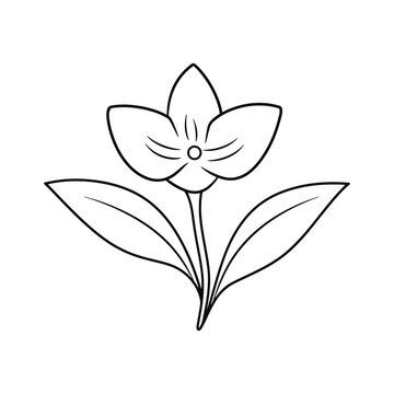 illustration of a flower, coloring page design 