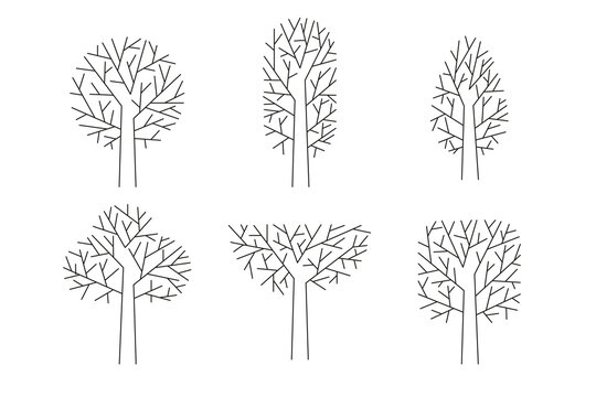 Set of Stylized Trees. Botanical collection of bare trees. Flat vector illustration on white background.