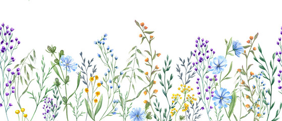 Meadow herbs, plants, flowers. Seamless border of wildflowers. Yellow, blue flower, green grass. Spring, summer greenery. Watercolor illustration for wedding textile, package and greetings