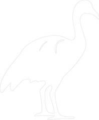 dodo outline © Mappingz