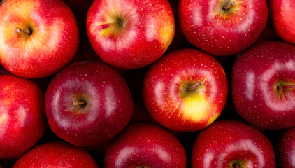 Jabłka, czerwone makro owoce tło