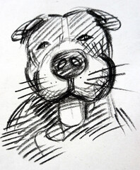 Hand drawn  sketch drawing dog thailand