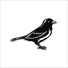 Sparrow Black and Write Vactor set illustration use logo, t-shirt