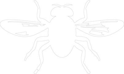 house fly outline