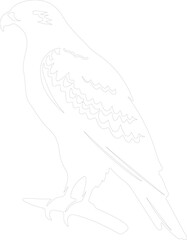 hawk outline