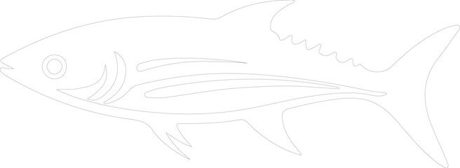 mackerel outline