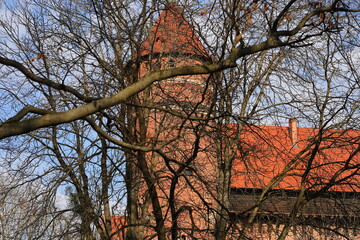 Trees without leaves against the background of the castle