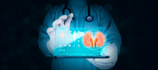 Nephrologist studies and analyzes kidney cysts, medical care for kidney problems. Organ donor....