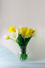 Bouquet of yellow and white tulips on white. Space for text. Spring postcard