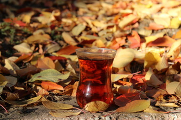 A glass of Turkish tea among yellowed leaves on the ground.