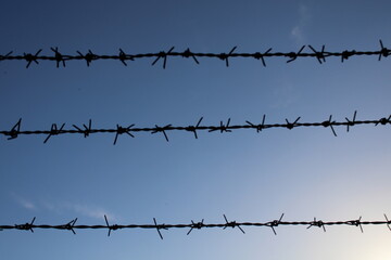 barbed wire fence in the field.symbol of freedom. blue sky in the background 