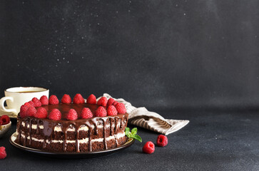 Chocolate cake with vanilla cream and raspberries - 752500004