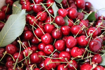 cherries on the market