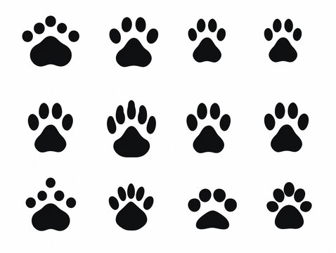Paw icon vector illustration. paw print sign and symbol. dog or cat paw set collection