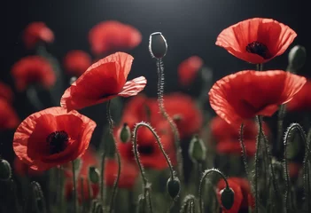 Raamstickers Red poppies on black background Remembrance Day Armistice Day symbol © ArtisticLens