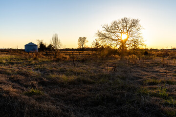 sunset over the field