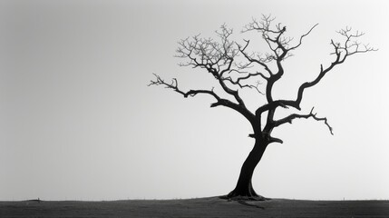  a black and white photo of a tree in the middle of a field with a gray sky in the background.
