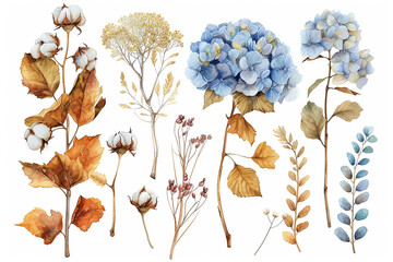 Naklejka premium Set of vintage floral vector bouquet of blooming hydrangea and cotton garden flowers, botanical natural hydrangea Illustration on white background. Summer floral hydrangea greeting card in watercolor
