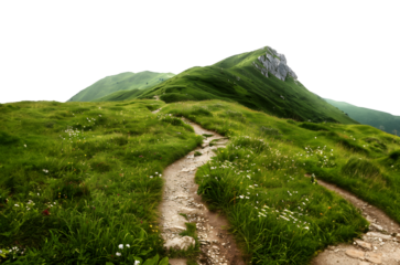 Mountain path isolated on Transparent Background. Ai Generated	