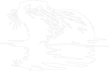 Obraz premium North American beaver outline