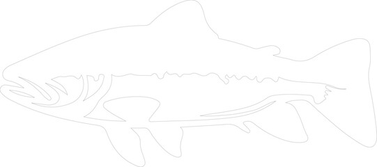 Fototapeta premium lake trout outline