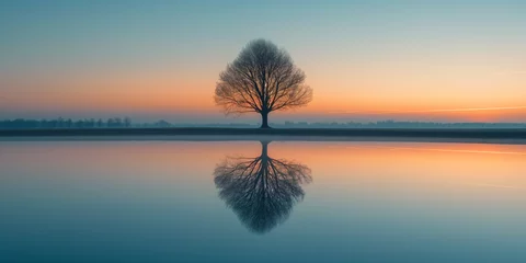 Badezimmer Foto Rückwand Landschaft mit einem Baum, der sich vor einem Himmel nach Sonnenuntergang abhebt und sich in einem ruhigen See spiegelt © Fatih