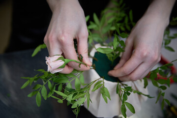 The florist's hands hold a rose and stick it into the oasis, pressed algae, a special flower remedy.