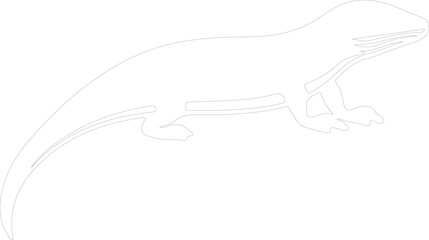 Fototapeta premium skink outline