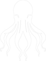 squid outline