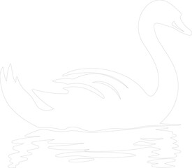 swan outline