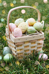 Easter basket with eggs on green grass. Sun rays - 752522230