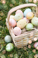 Easter basket with eggs on green grass. Sun rays - 752522253