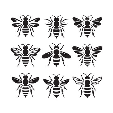 Buzzing Beauty: Vector Bee Silhouette - Capturing the Grace and Vitality of Nature's Pollinator in Elegant For. Minimalist black bee Illustration.