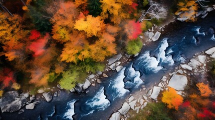 A river amidst fall foliage. Wide-angle shots capture the season's vibrant colors and serene landscapes. Perfect for design and nature-inspired projects.