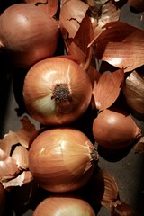 Still life with colorful, ripe onions. Art composition of the onions.