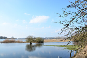 Fototapeta na wymiar Hochwasser bei Ketzür im Havelland