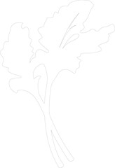 rhubarb outline