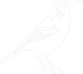 western meadowlark outline