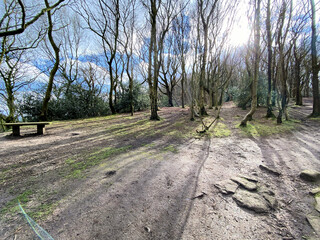 A view of the Cheshire Countryside at Peckforton Hills