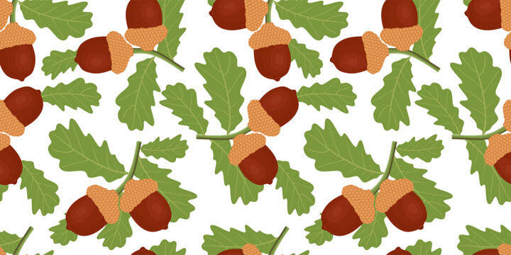 Seamless pattern with oak branches, green leaves and acorns. Forest and Autumn elements on white background. Colored cartoon repeated texture for fabric, wrapping, textile, wallpaper. Vector