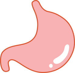 Stomach human body parts small intestine icon.
