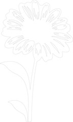 gerbera daisy outline