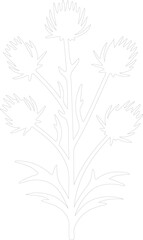 thistle outline