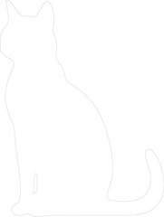 Colorpoint Shorthair Cat outline