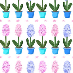 Flat illustration for spring season, hyacinthus, flower in pot, Vector illustration