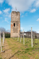 Tower of the castle (Torre delle castelle) in Gattinara, in the province of Vercelli, Piedmont, Italy