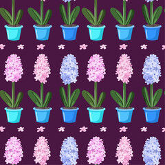 Flat illustration for spring season, hyacinthus, flower in pot, Vector illustration
