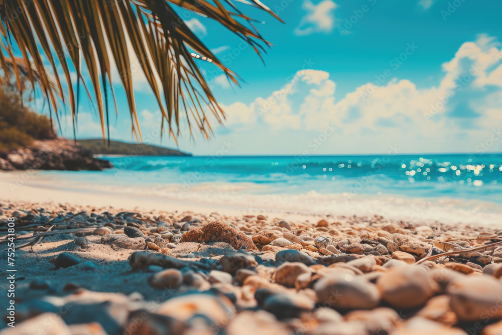 Poster a beach with a palm tree in the foreground and a body of water in the background