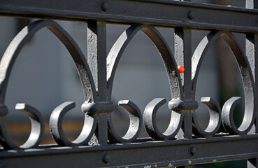 metalowy detal architektoniczny, metalowa dekoracja ogrodzenia, metalowy ornament na bramie,...